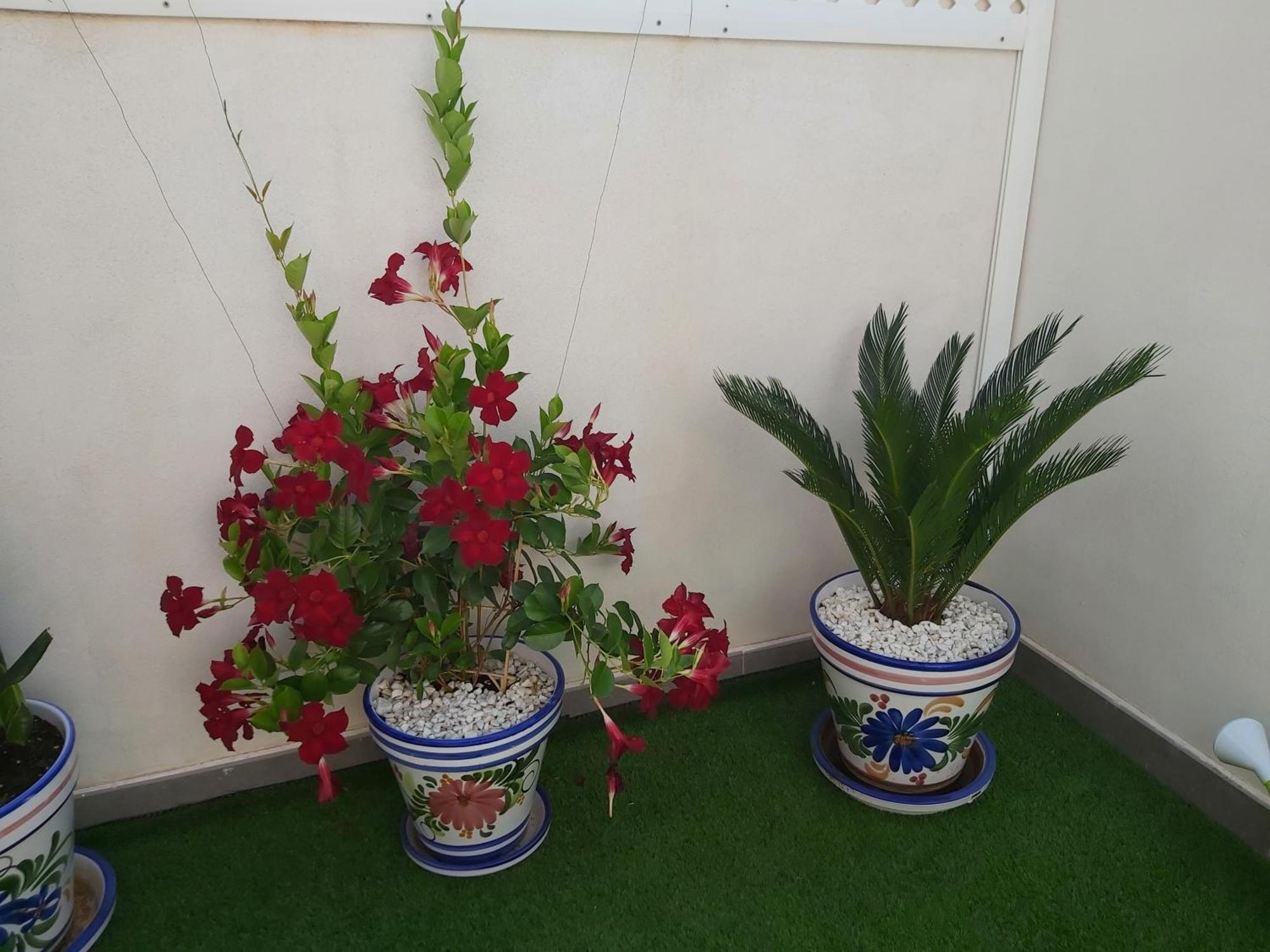 To Be In Malaga Apartment Екстериор снимка
